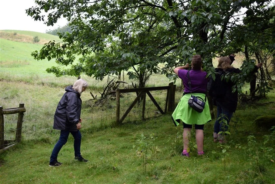 Assens and the North of Denmark 2017
